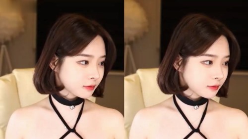 kbj24011823_gii2213